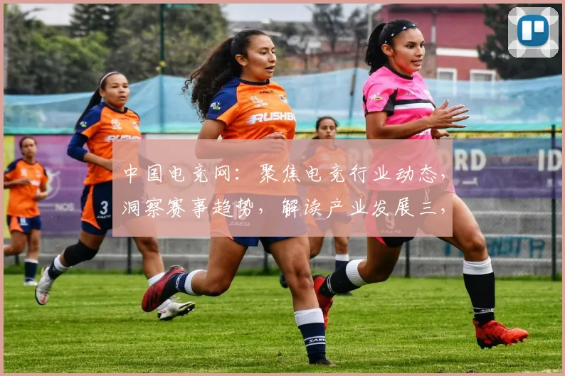 中国电竞网：聚焦电竞行业动态，洞察赛事趋势，解读产业发展三，三，三