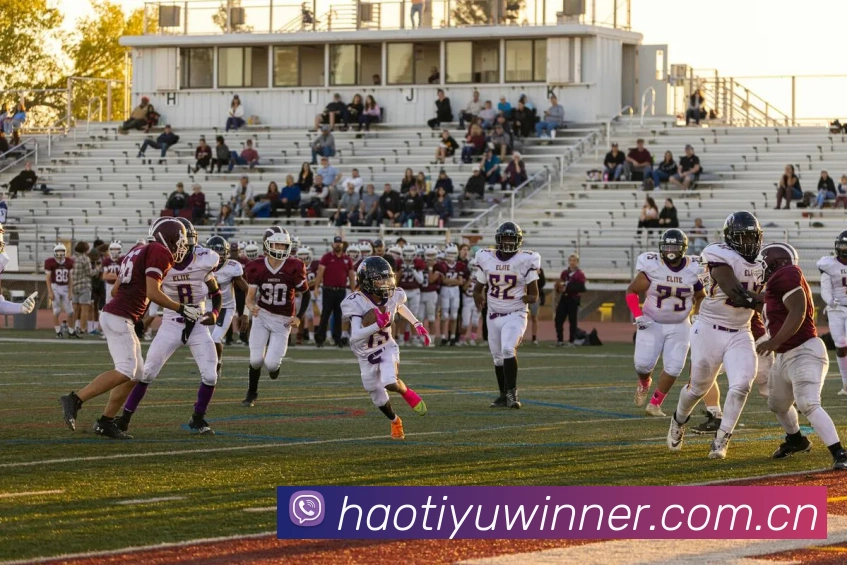 奖项证书